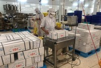 IDI ký thêm nhiều hợp đồng mới với các đối tác EU