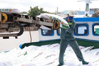 6 tháng, Phân bón Dầu khí Cà Mau (DCM) đạt doanh thu 8.247 tỷ đồng, vượt xa kế hoạch kinh doanh bán niên