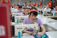 Doanh thu tiêu thụ tháng 11 của TNG tăng 10% so với cùng kỳ