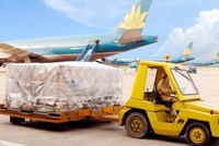 Dịch vụ hàng hóa Nội Bài (NCT) chuẩn bị chi hơn 78 tỷ đồng trả cổ tức đợt 1/2023