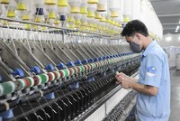 Damsan (ADS): Tổng giám đốc đăng ký bán 500.000 cổ phiếu