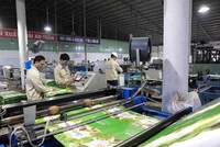 Thuận Đức (TDP) chuẩn bị huy động 230 tỷ đồng trái phiếu