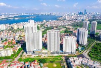 Sức hút quay trở lại nhóm cổ phiếu bất động sản