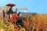 Cổ phiếu của HAGL Agrico (HNG) tiếp tục duy trì diện cảnh báo