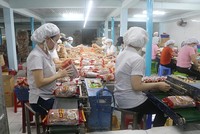Thiếu 70% nhân lực trong quý IV, Thực phẩm Bích Chi (BCF) báo lãi 16,18 tỷ đồng, giảm 17%