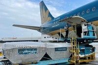 Dịch vụ Hàng hóa Nội Bài (NCT) báo lãi 224 tỷ đồng, vượt 8% chỉ tiêu lợi nhuận năm 2021