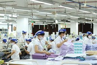 Vinatex (VGT): Lãi ròng năm 2021 tăng 134%, đạt 1.312,5 tỷ đồng