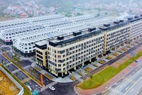 Đầu tư IDJ Việt Nam (IDJ) sắp chào bán 173,49 triệu cổ phiếu, giá 10.000 đồng/CP