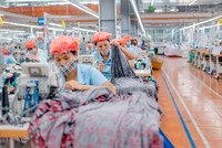 May Sông Hồng (MSH) chi 188 tỷ đồng tạm ứng cổ tức năm 2023, tỷ lệ 25%