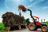 Doanh nghiệp đường “nếm” vị ngọt của giá