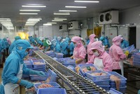 Xuất khẩu thuỷ sản sang Trung Quốc rộng mở cơ hội