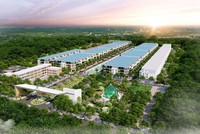 MBS khuyến nghị 3 cổ phiếu bất động sản khu công nghiệp là "điểm sáng" năm 2023
