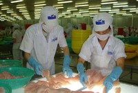 HVG bạo tay thâu tóm Thủy sản An Giang (AGF) và VTF