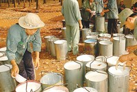 Ảnh Internet