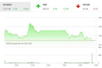Giao dịch chứng khoán phiên chiều 6/9: Nhóm FLC bị bán tháo, VN-Index thoát hiểm nhờ dòng bank