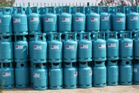 PGC tạm ứng cổ tức 12% bằng tiền và thưởng 20% bằng cổ phiếu