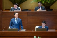 Bộ trưởng Bộ Ngoại giao Bùi Thanh Sơn trà lời chất vấn.