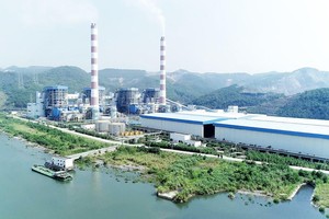 Thị trường chứng khoán Việt Nam 2023: Những con số đáng chú ý 24 Cổ phiếu cần quan tâm ngày 2/1