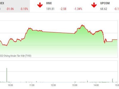 Giao dịch chứng khoán chiều 11/11: Gần 100 mã nằm sàn, VN-Index vẫn tăng hơn 7 điểm