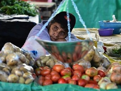 Một người bán rau, củ, quả tại chợ ở Tegucigalpa, Honduras. (Ảnh: AFP/TTXVN).