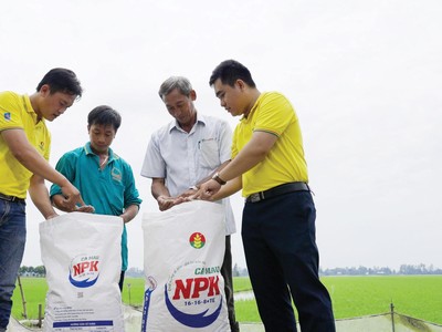 Đạm Cà Mau là một trong những doanh nghiệp tăng trưởng bền vững trên sàn chứng khoán.