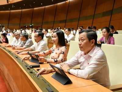 Đoàn đại biểu Quốc hội tỉnh Khánh Hòa biểu quyết trong phiên họp sáng 16/6.