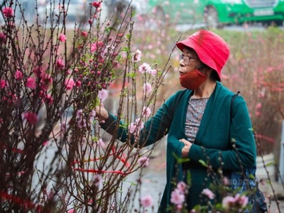 Bộ Lao động - Thương binh và Xã hội vừa trình Thủ tướng 2 phương án nghỉ Tết Nguyên đán 2023.