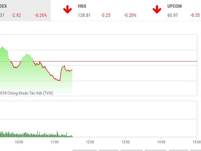 Phiên sáng 13/3: Nhiều cổ phiếu nhỏ nổi sóng, VN-Index vẫn trượt dốc