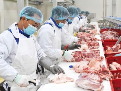 Nông nghiệp BaF Việt Nam (BAF): Quý I/2022, doanh thu giảm 28,1%, tài sản giảm 24%