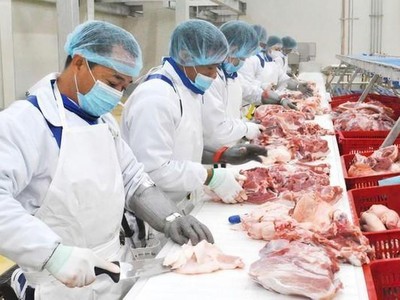Quý II/2022, lợi nhuận Nông nghiệp BaF Việt Nam (BAF) giảm 62,6% về 40,42 tỷ đồng
