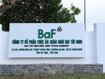 Nông nghiệp BaF Việt Nam (BAF): Cổ phiếu giảm 33,6%, Công ty của Chủ tịch không mua hết lượng đăng ký với lý do thị trường biến động không thuận lợi