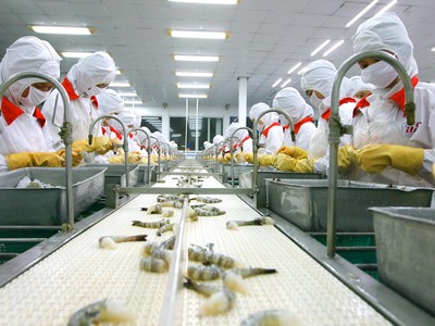 Nhà máy chế biến thủy sản Ảnh Lê Toàn