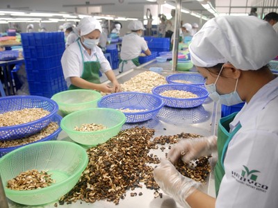 Doanh nghiệp Hà My xuất khẩu hạt điều tại tỉnh Bình Phước Ảnh: Lê Toàn
