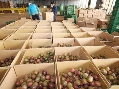 3 điểm chính doanh nghiệp Việt Nam cần lưu ý khi xuất khẩu hàng hóa sang EU