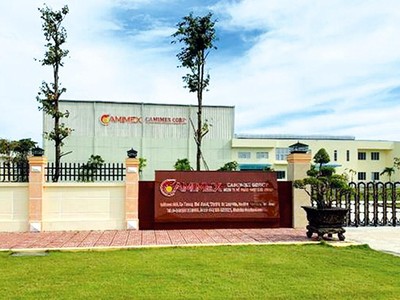 Nếu hoàn tất các đợt phát hành, dự kiến vốn điều lệ của Camimex Group tăng lên hơn 900 tỷ đồng