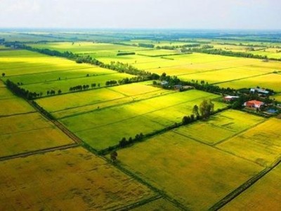 Ảnh minh họa. Nguồn: Internet