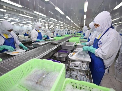 Dây chuyền sản xuất tôm tại Sao Ta (Fimex)- doanh nghiệp PAN Group và công ty có liên quan đang nắm trên 50% vốn (Ảnh: PAN).