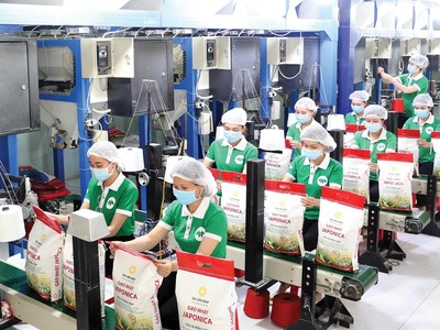 Giá gạo xuất khẩu gần đây có diễn biến tăng.