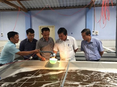 Ninh Thuận thu hút đầu tư 31 dự án về nông nghiệp ứng dụng công nghệ cao