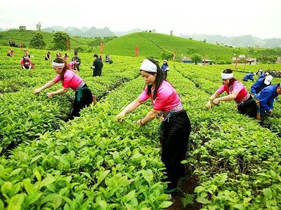 GTNFoods là doanh nghiệp ngành nông nghiệp