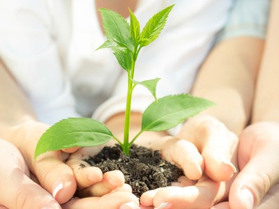 Chứng chỉ quỹ và những bước tiến nhỏ trên con đường dài
