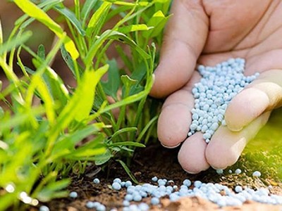 Giá phân bón thế giới lại tiếp tục tăng “nóng”