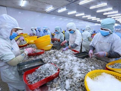 Thị trường Mỹ, Anh giảm mua tôm Việt do lạm phát