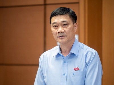 Chủ nhiệm Ủy ban Kinh tế Vũ Hồng Thanh.