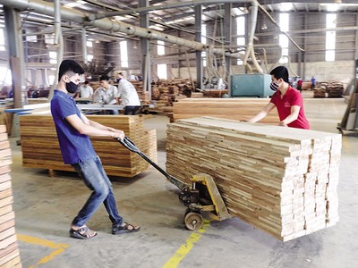 Sản lượng, số lượng đơn đặt hàng mới, hoạt động xuất khẩu và mua hàng đều đã tăng trở lại. Ảnh: Đức Thanh