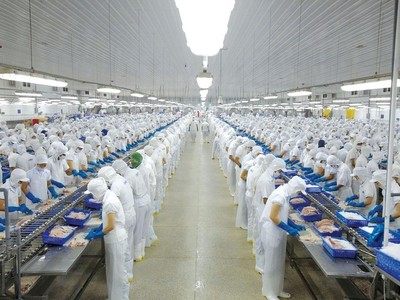Vĩnh Hoàn (VHC) ghi nhận doanh thu tháng 2/2024 tăng 6%, lên 801 tỷ đồng