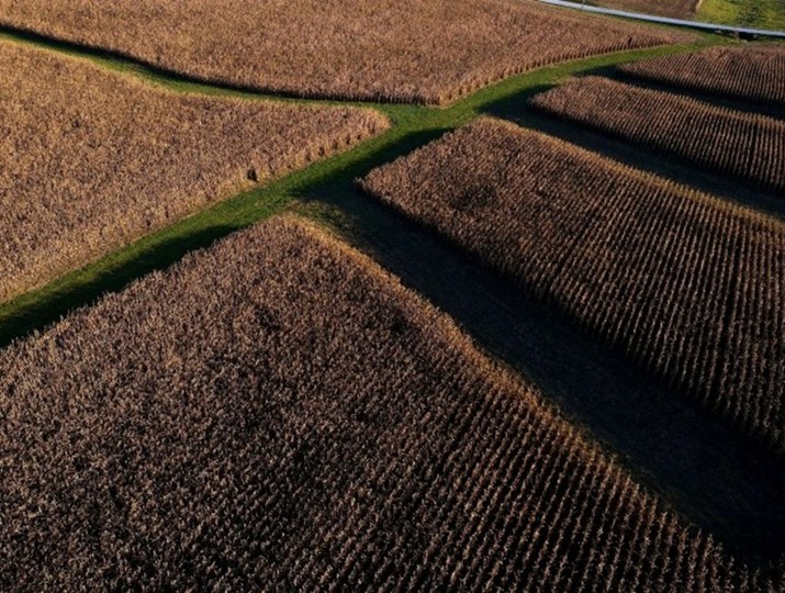 Các nhà đầu tư đổ số tiền kỷ lục vào đất nông nghiệp Mỹ