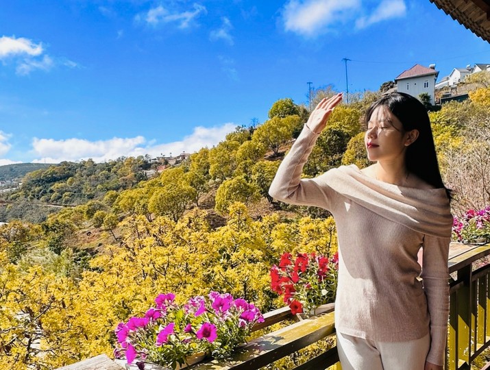 Đà Lạt đẹp mơ màng mùa hoa bơ 