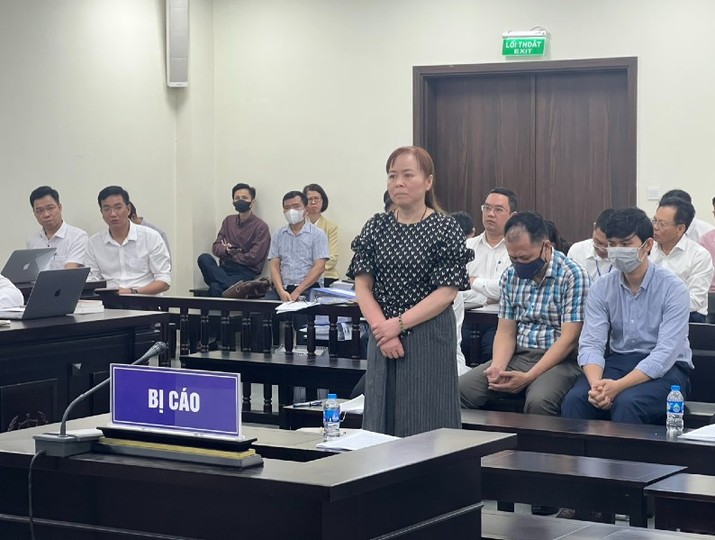 Các bị cáo bị đưa ra xét xử sơ thẩm tại Tòa án Nhân dân TP.Hà Nội.