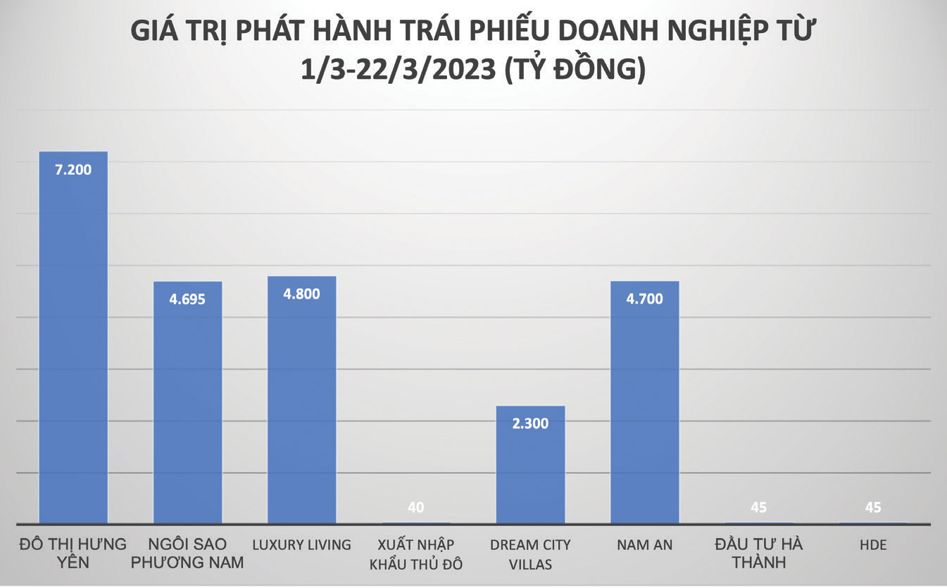  ảnh 1